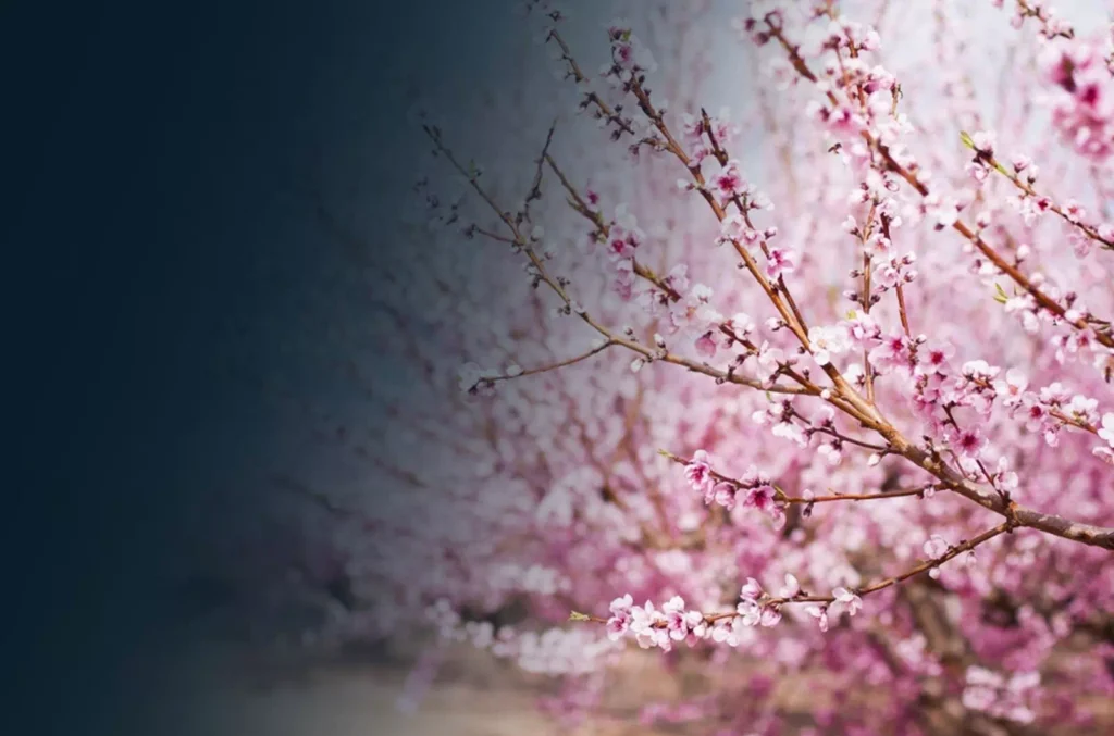 Aurelio Carrillo - consultoria Recursos humanos y rtetribución salarial